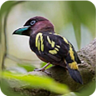 WWW,av727·COM网站APPAPP应用